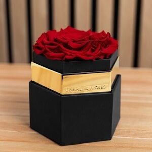 The Million Roses: Red Rose 🌹